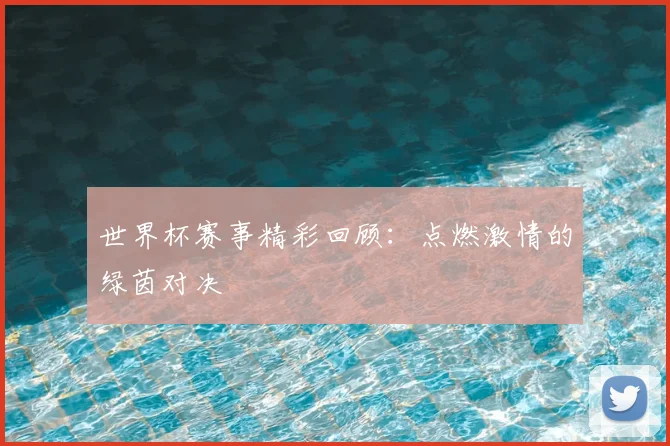 世界杯赛事精彩回顾：点燃激情的绿茵对决
