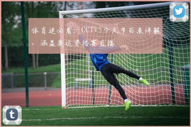 体育迷必看：CCTV5今天节目表详解，涵盖奥运资格赛直播