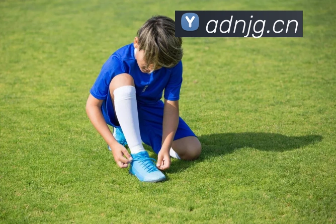 App Interface Preview