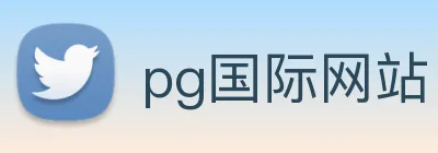 pg国际网站 logo